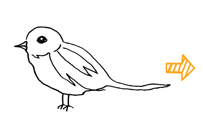 原画「鳥のにぎわい」
